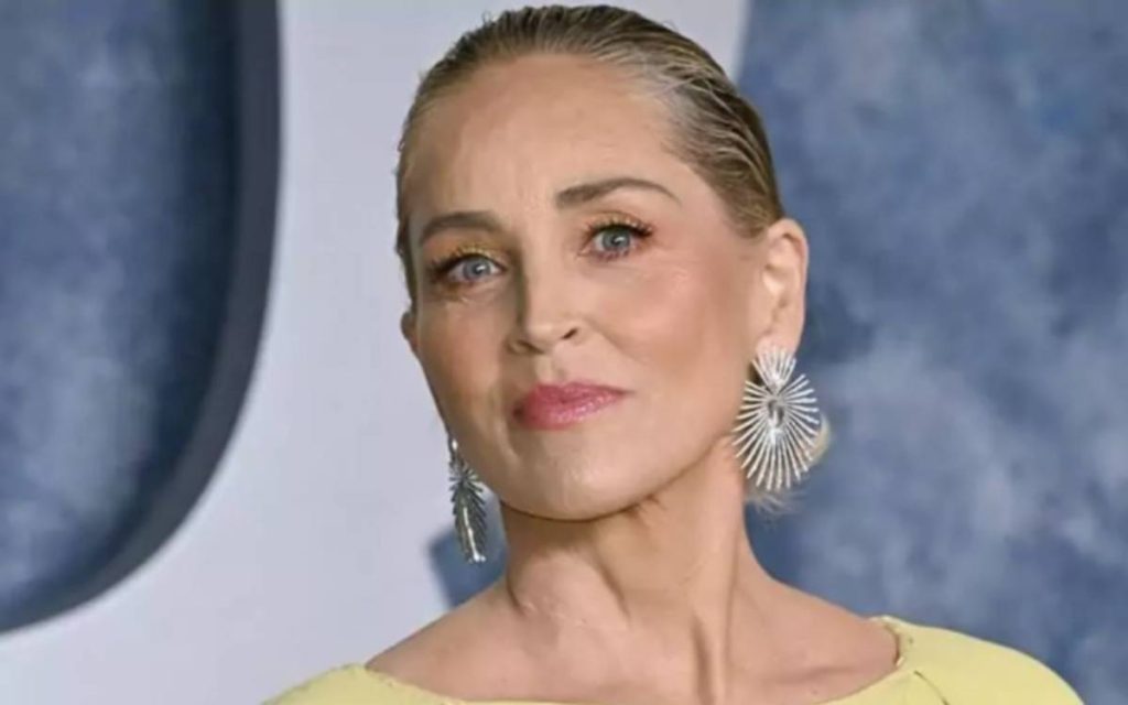 Sharon Stone Net Worth 2024