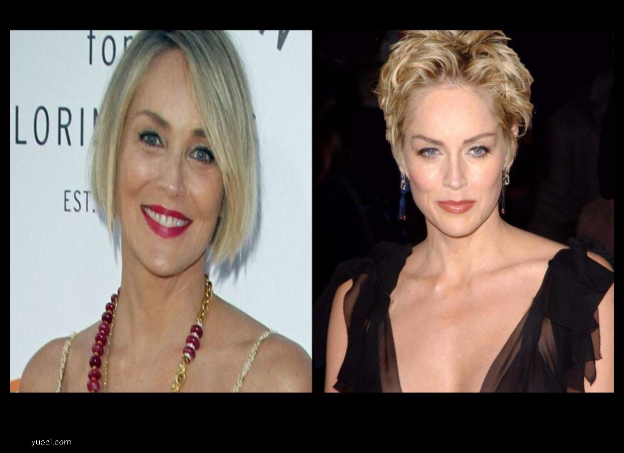 Sharon Stone Net Worth