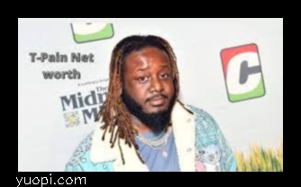 t pain net worth