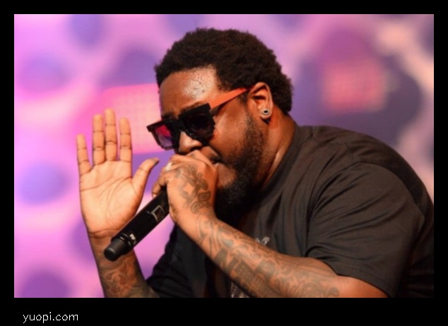 t pain net worth