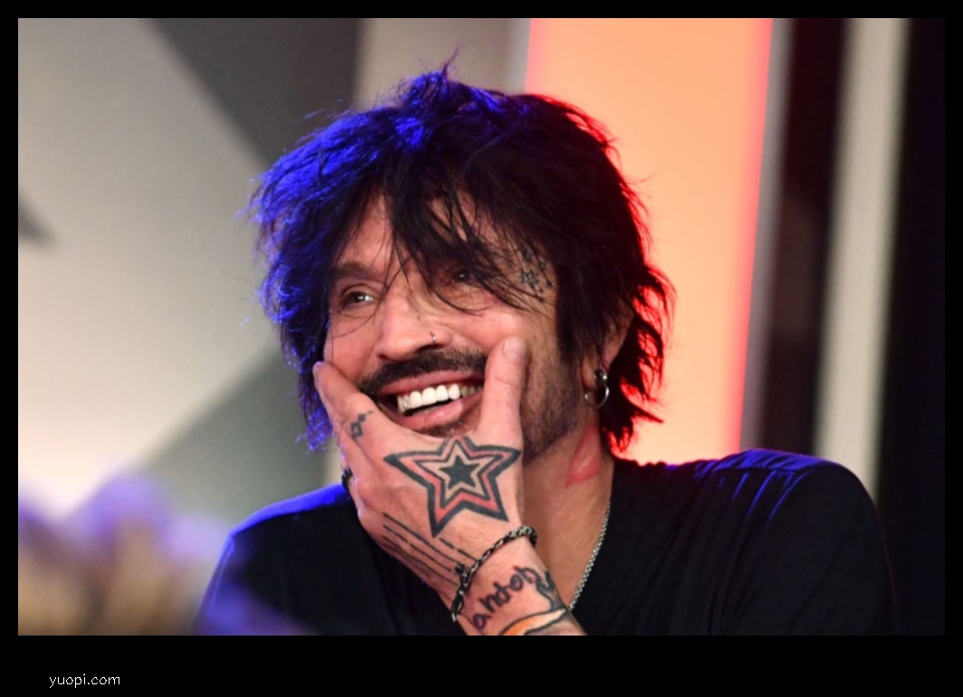 tommy lee net worth